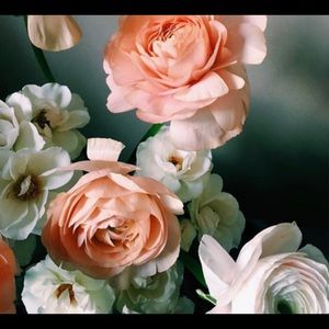 Meet your Posher, Mary ann